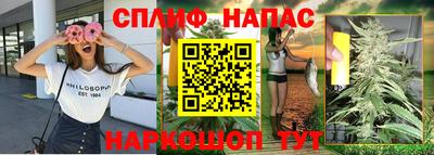 прущие грибы Нягань