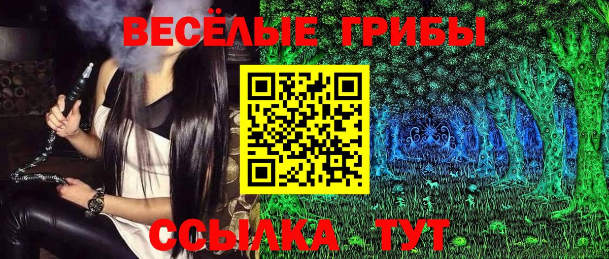 закладка  Вход с VPN  Троицк  Псилоцибиновые грибы прущие грибы 